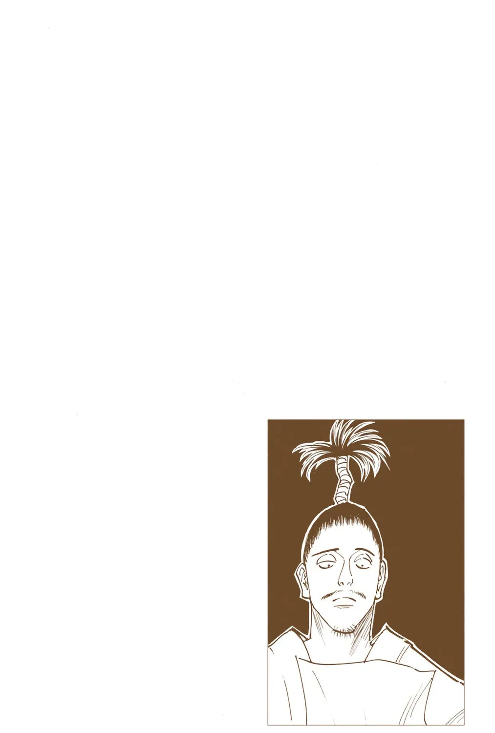 Hunter x Hunter Colored Manga