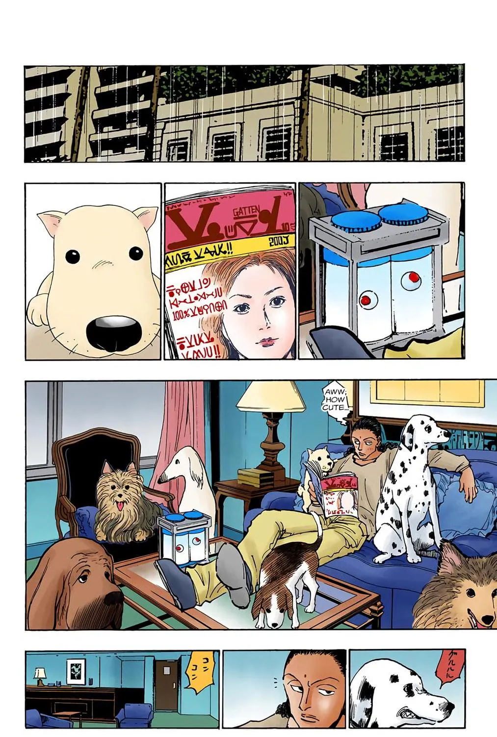 Hunter x Hunter Colored Manga