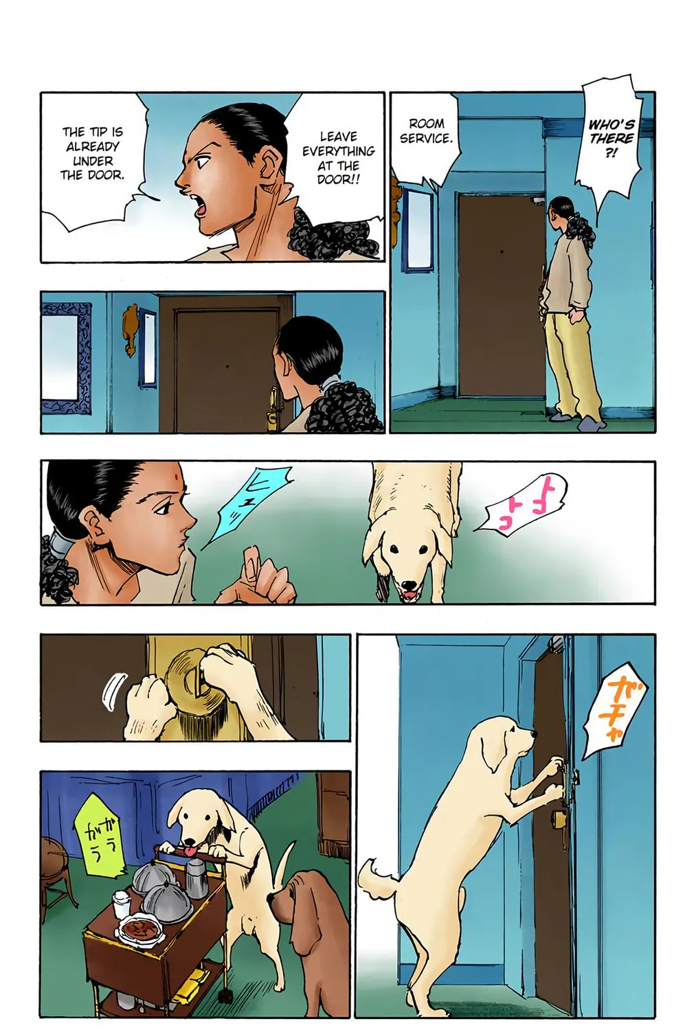 Hunter x Hunter Colored Manga