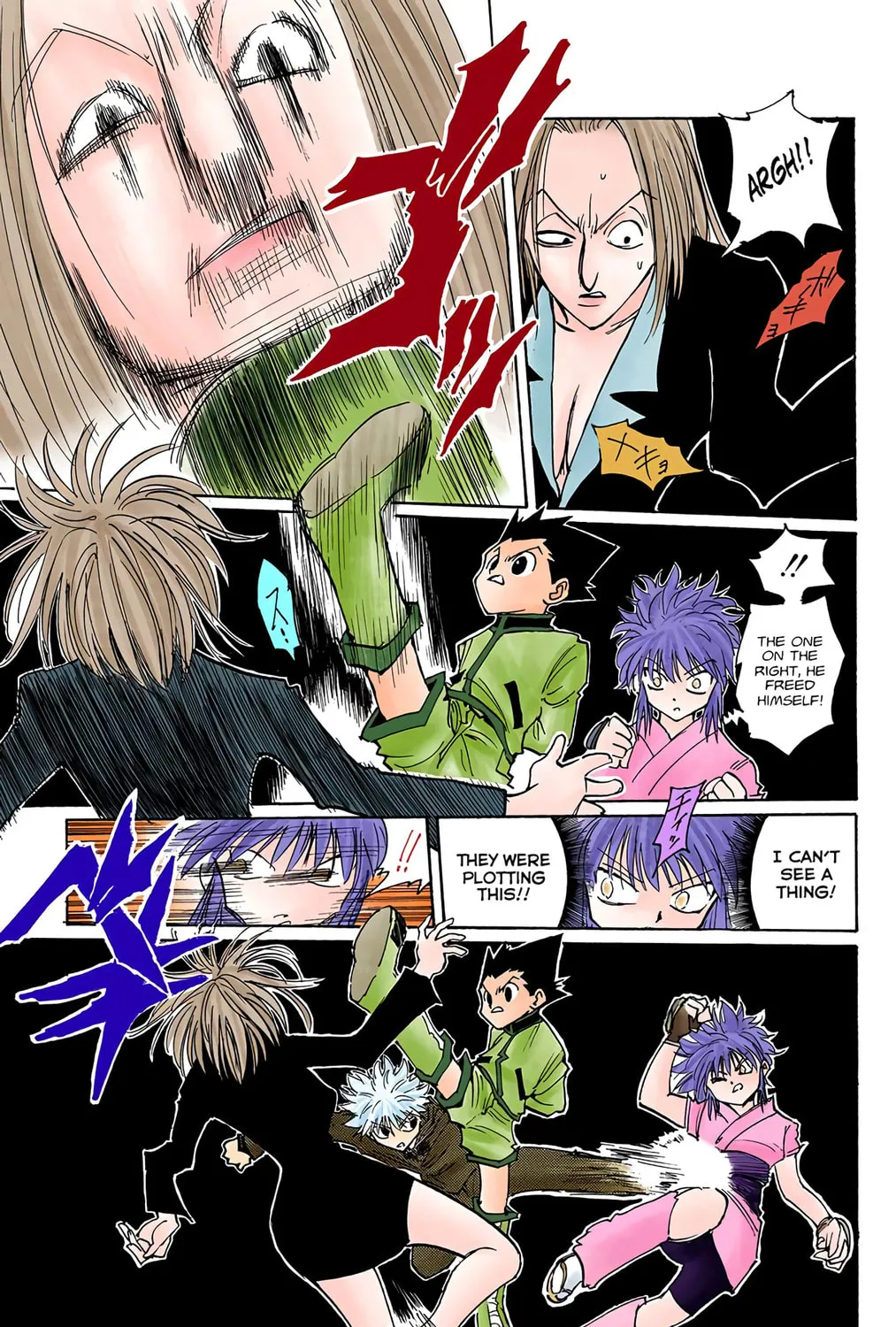 Hunter x Hunter Colored Manga
