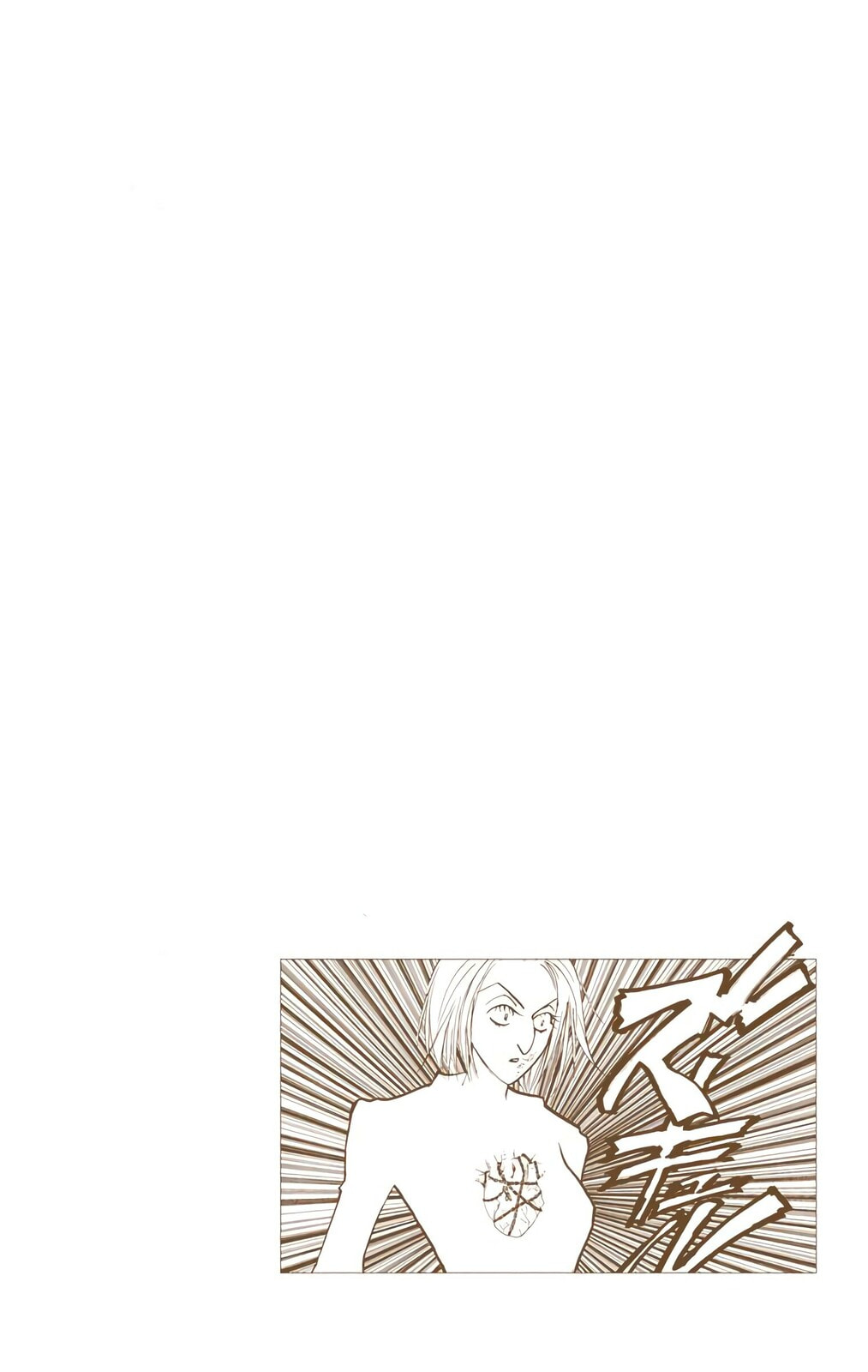 Hunter x Hunter Colored Manga