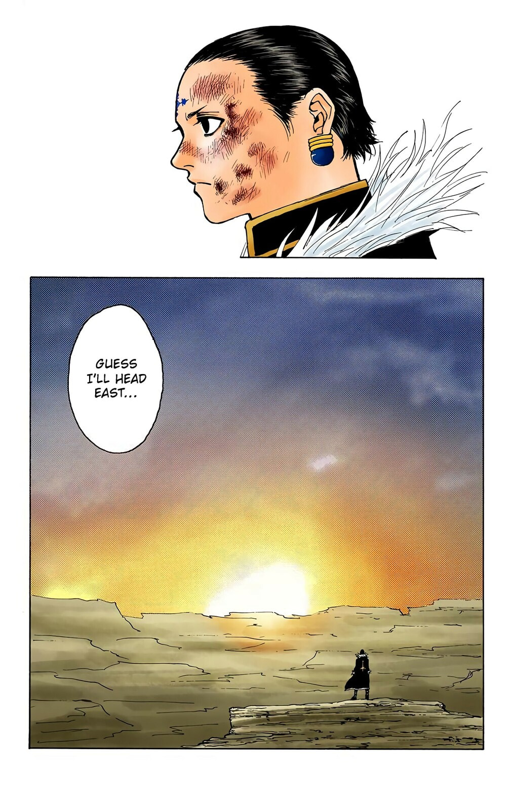 Hunter x Hunter Colored Manga