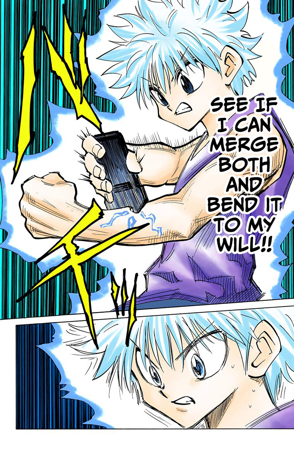 Hunter x Hunter Colored Manga