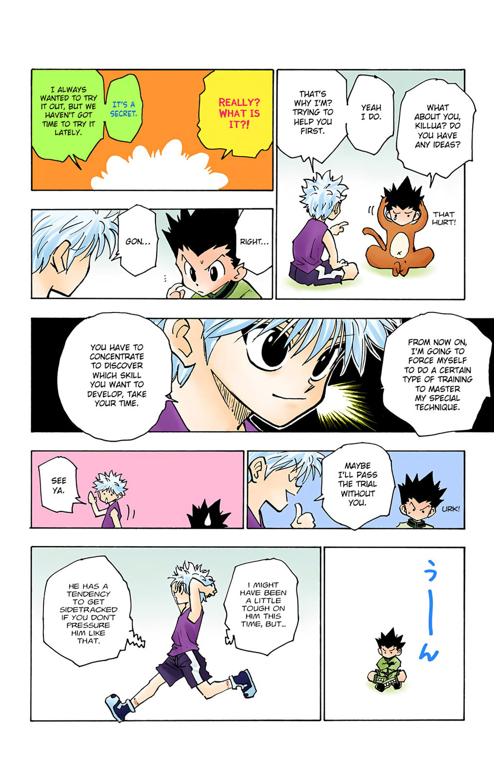 Hunter x Hunter Colored Manga