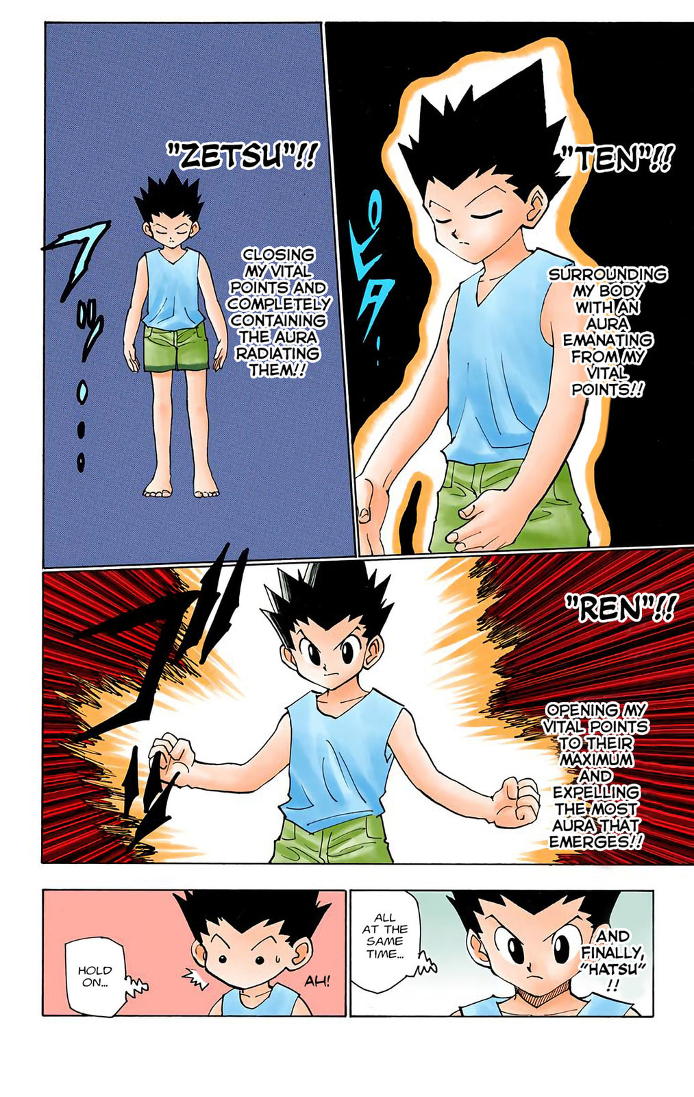 Hunter x Hunter Colored Manga