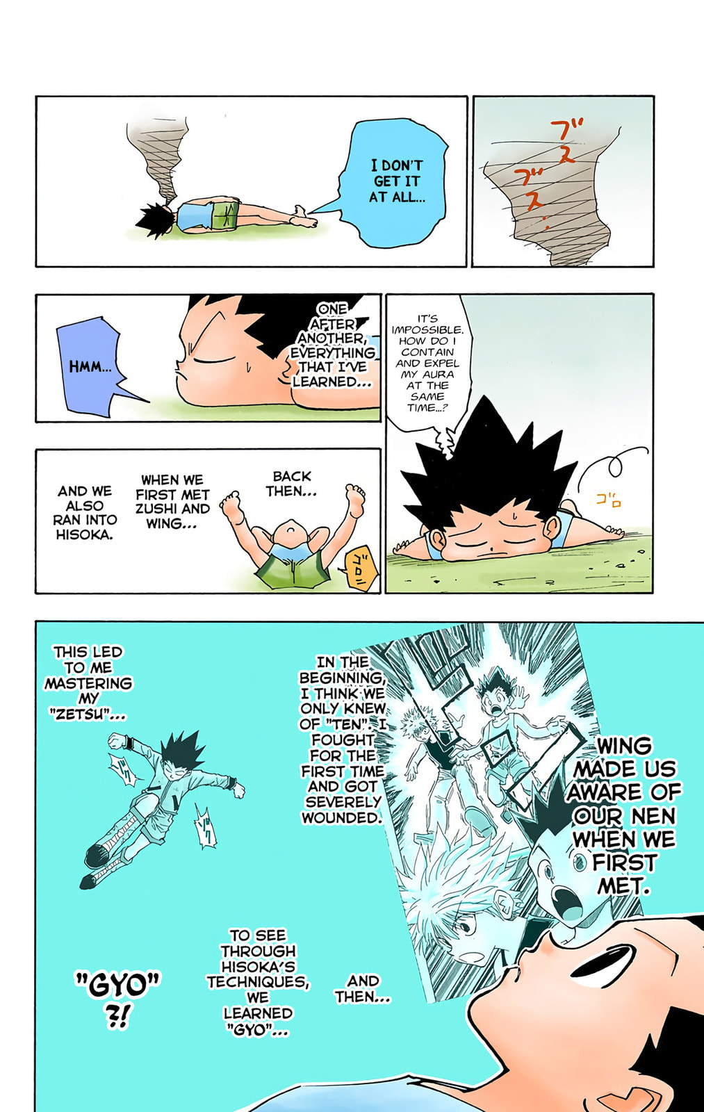 Hunter x Hunter Colored Manga