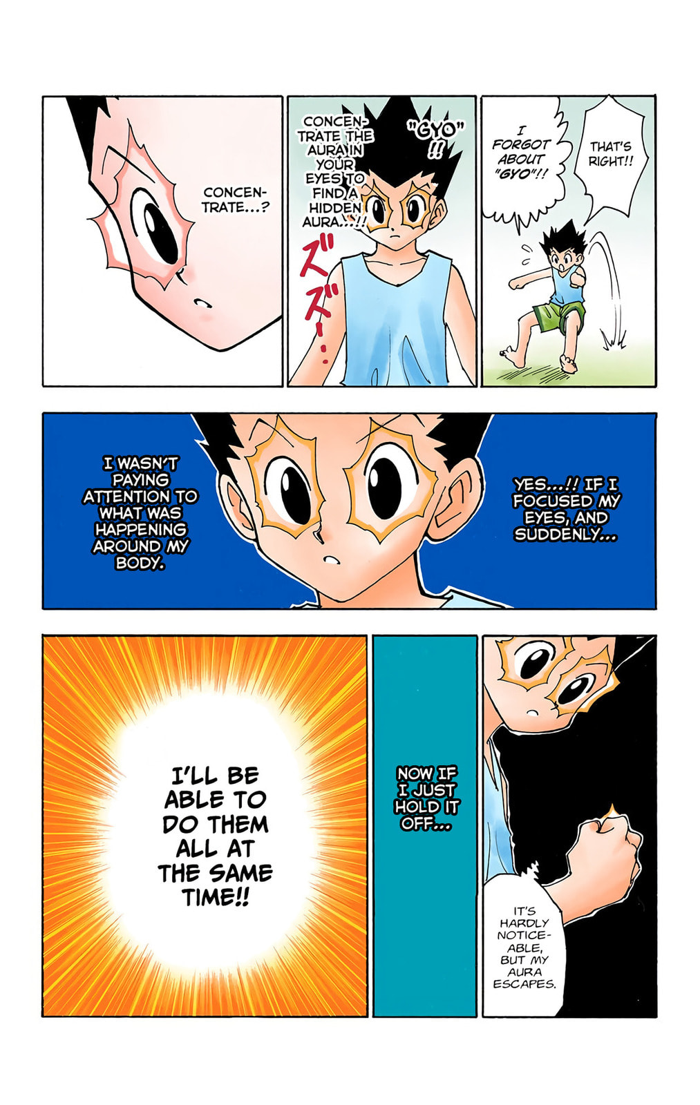 Hunter x Hunter Colored Manga