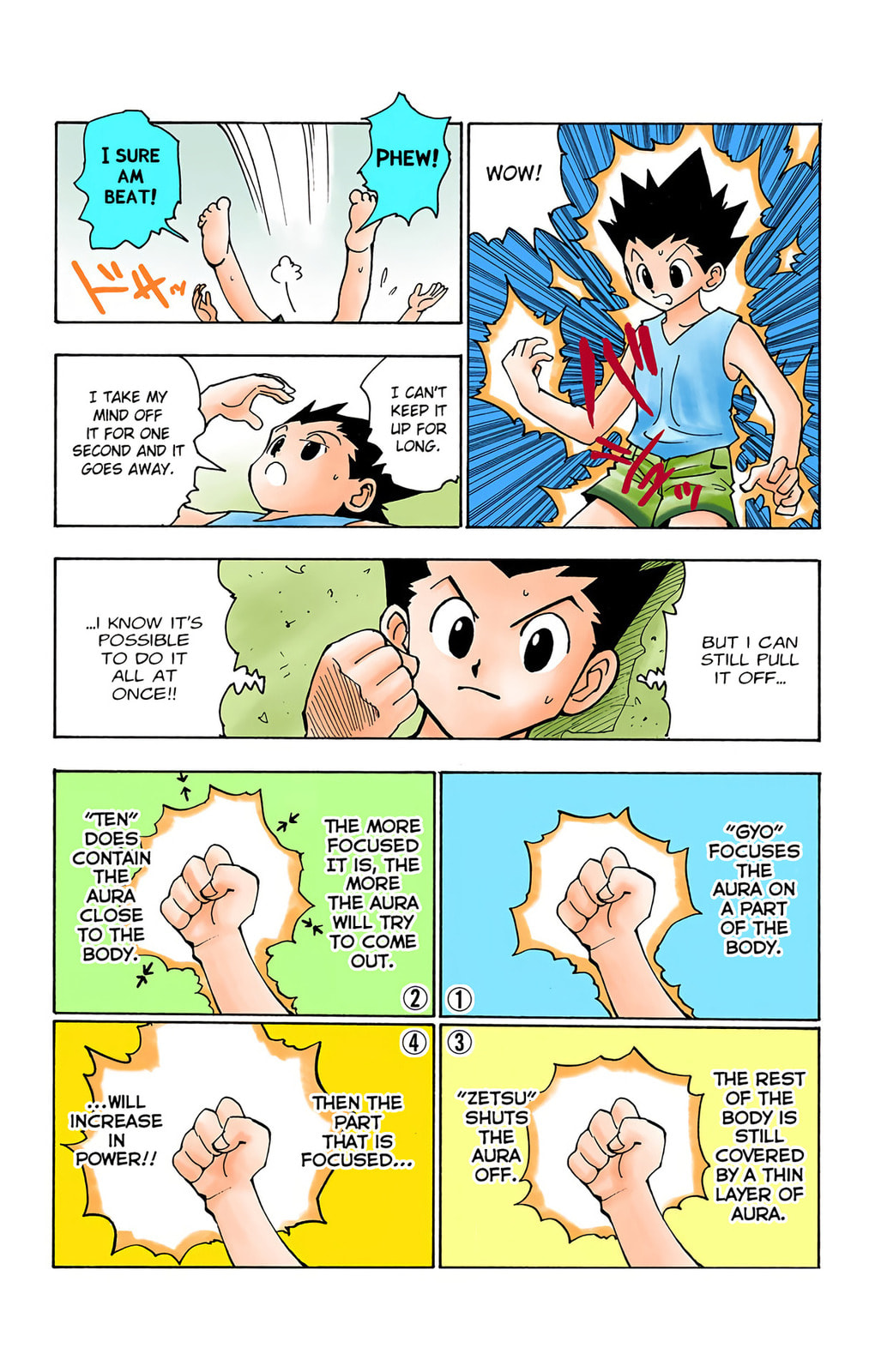 Hunter x Hunter Colored Manga