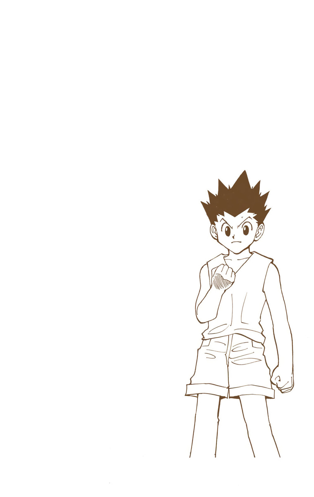 Hunter x Hunter Colored Manga