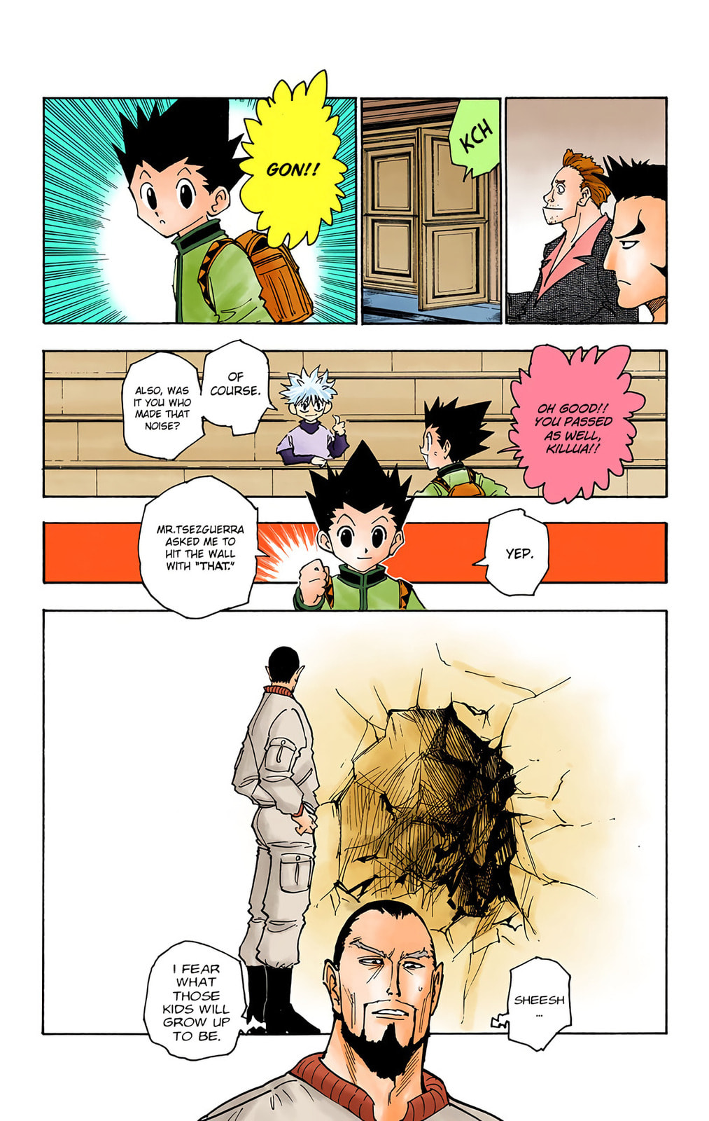 Hunter x Hunter Colored Manga
