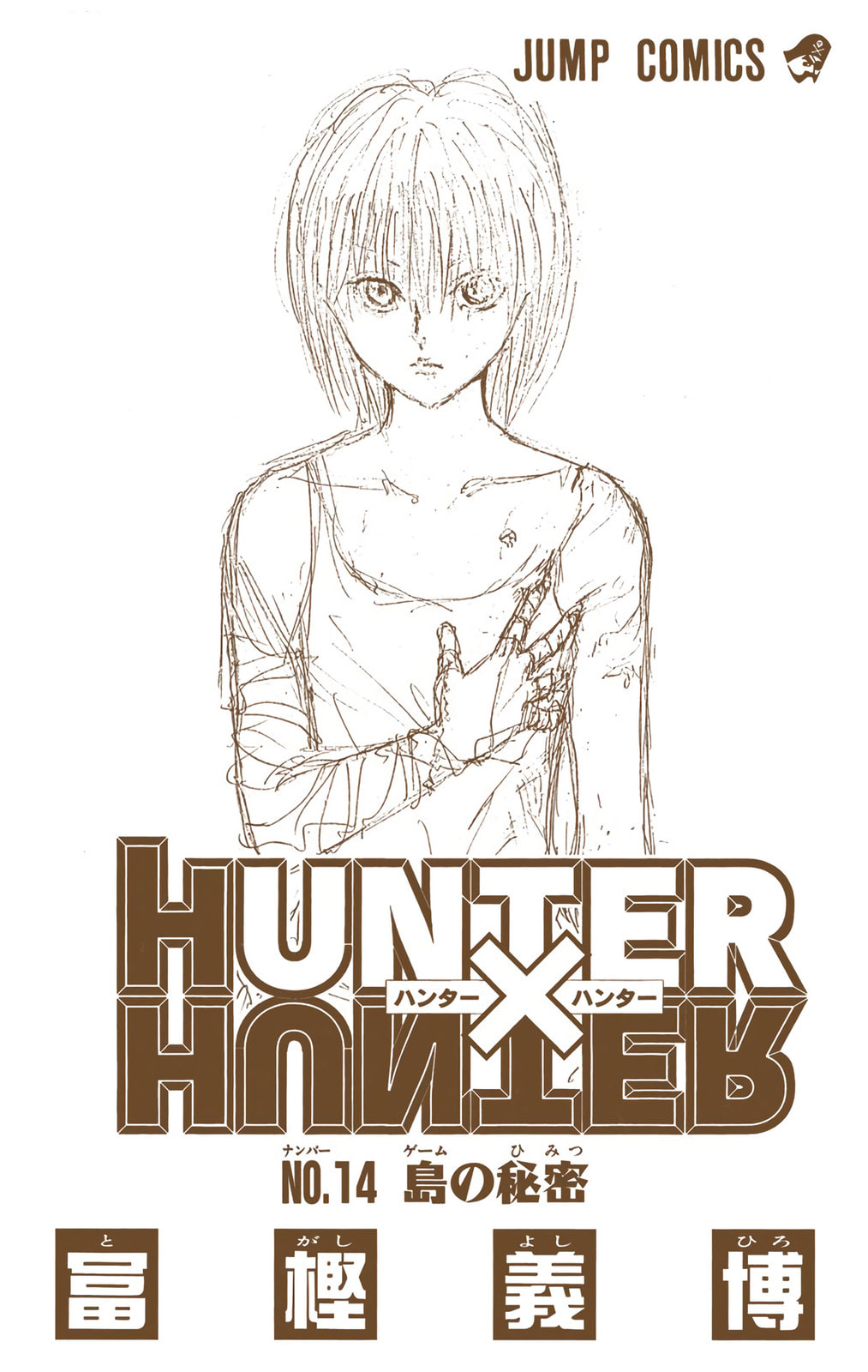 Hunter x Hunter Colored Manga