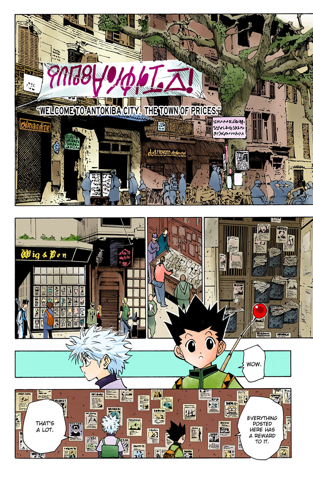 Hunter x Hunter Colored Manga