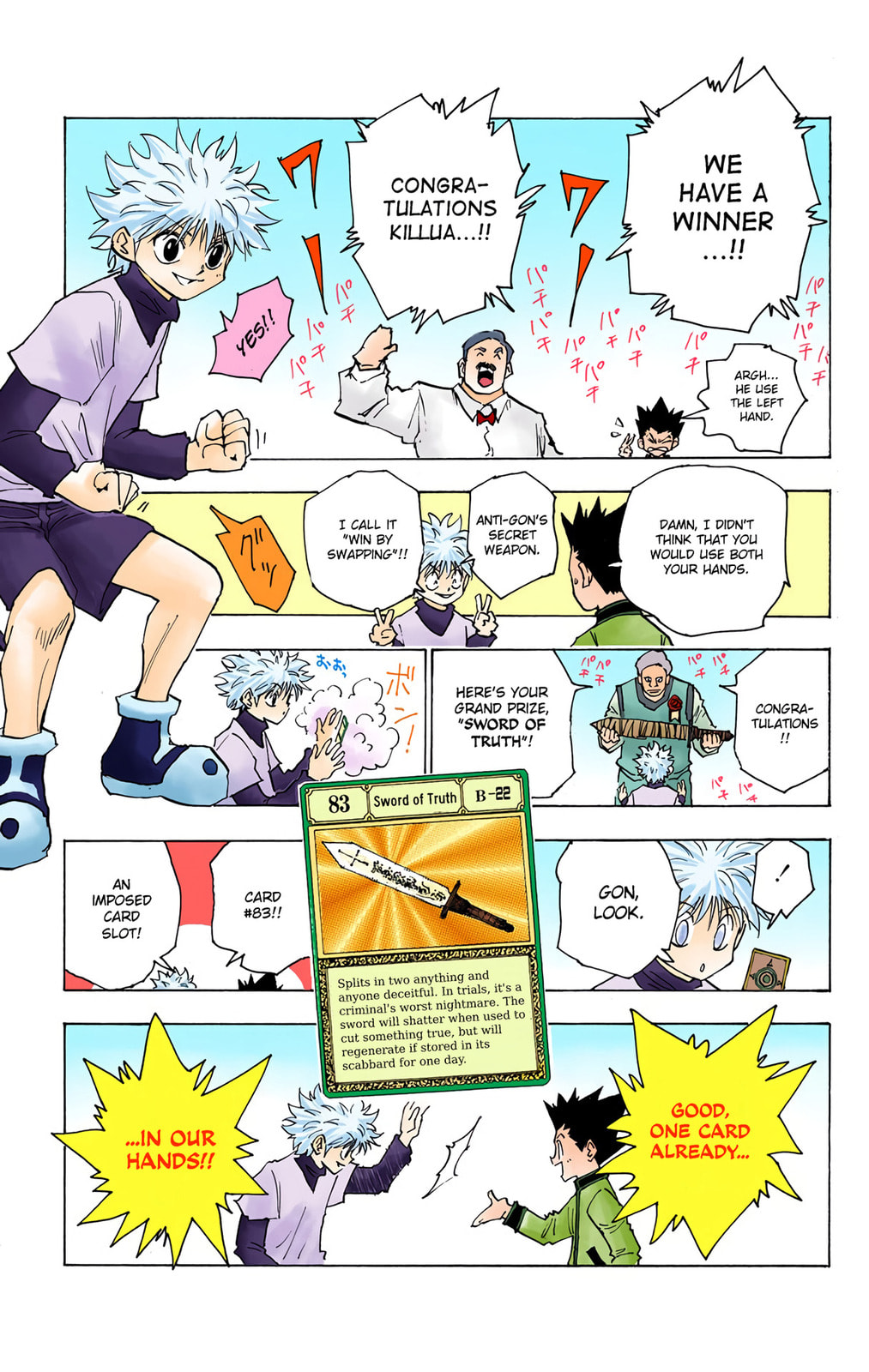Hunter x Hunter Colored Manga