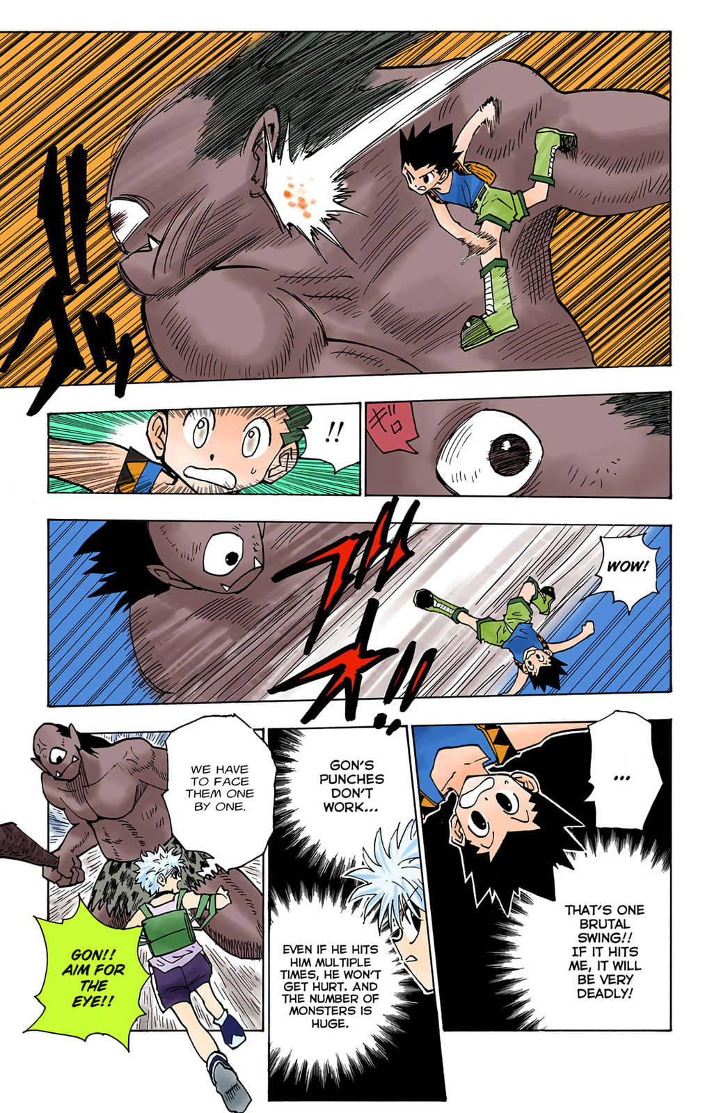 Hunter x Hunter Colored Manga