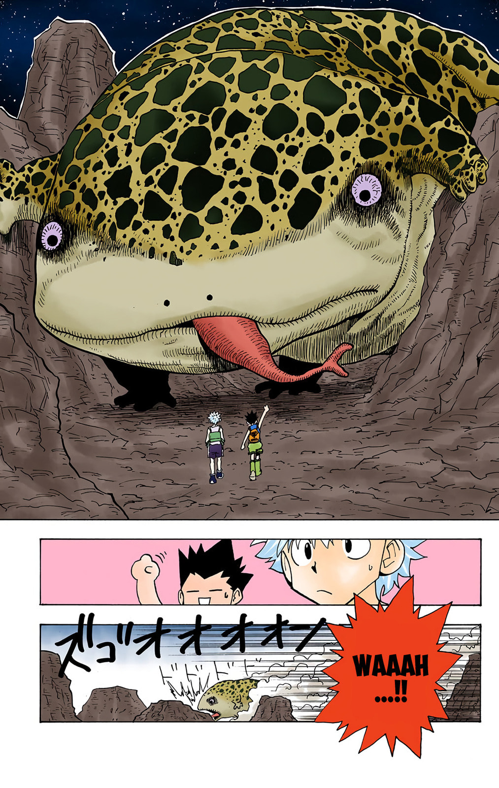 Hunter x Hunter Colored Manga