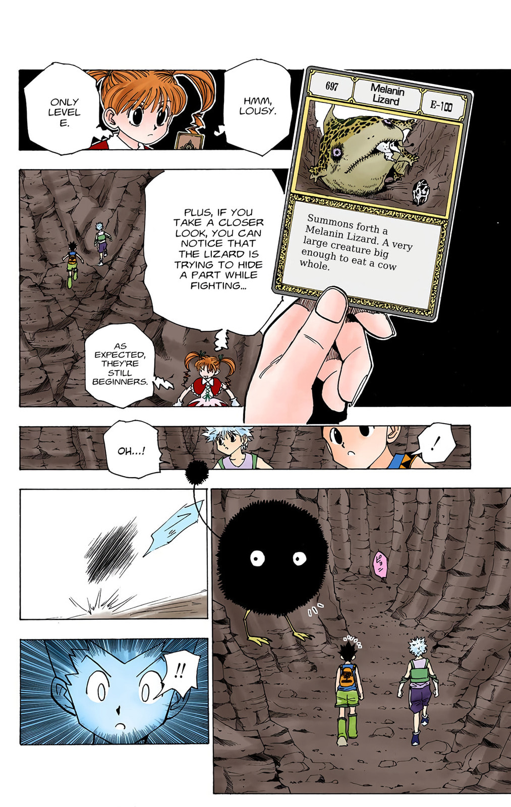 Hunter x Hunter Colored Manga