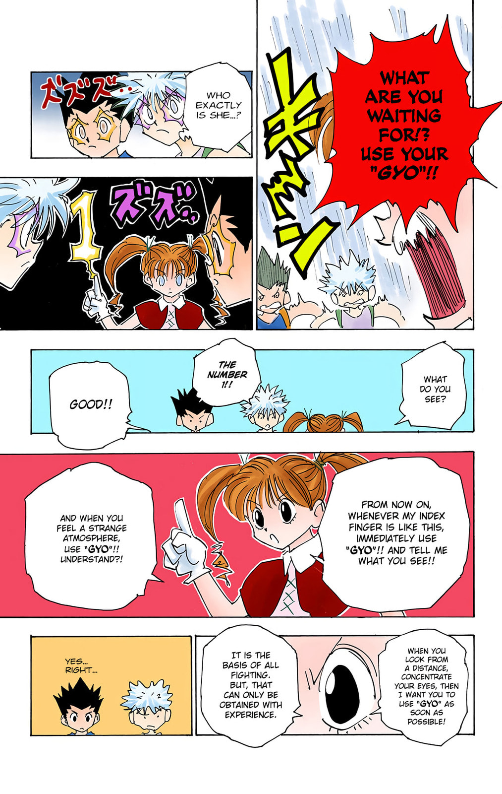 Hunter x Hunter Colored Manga