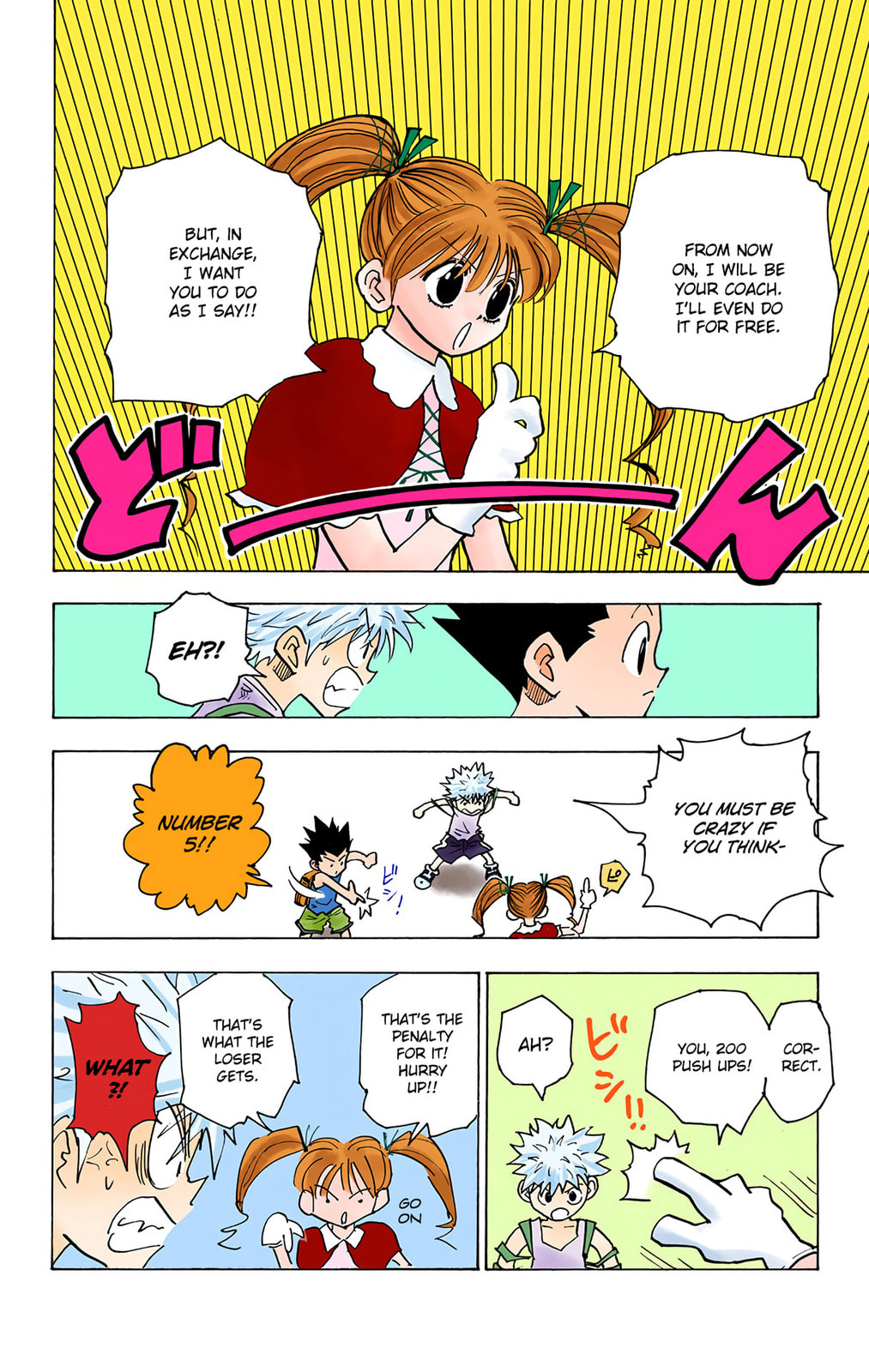 Hunter x Hunter Colored Manga