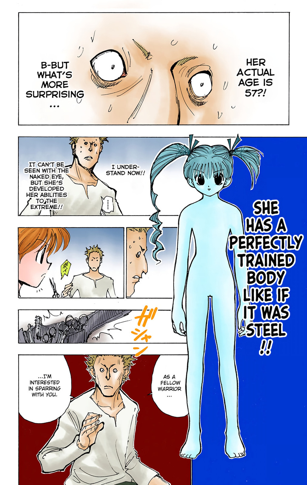 Hunter x Hunter Colored Manga