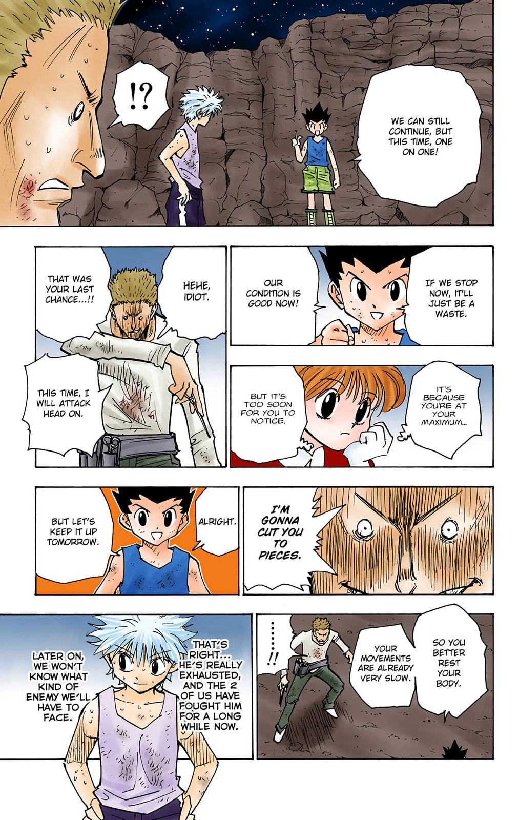 Hunter x Hunter Colored Manga