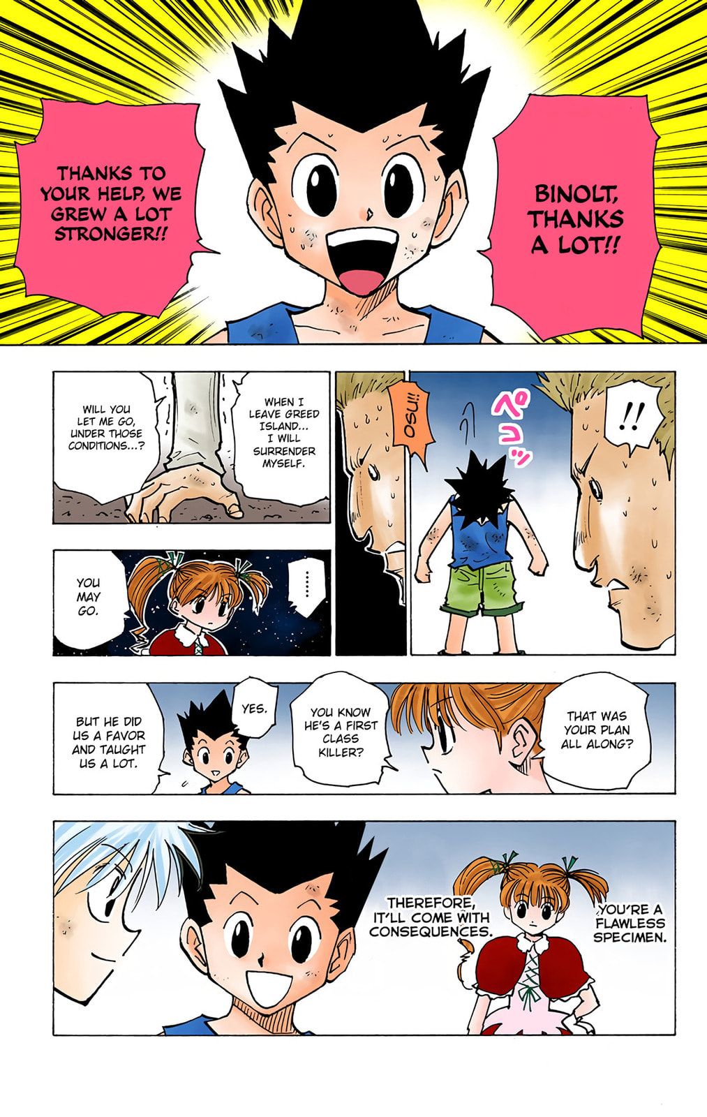 Hunter x Hunter Colored Manga
