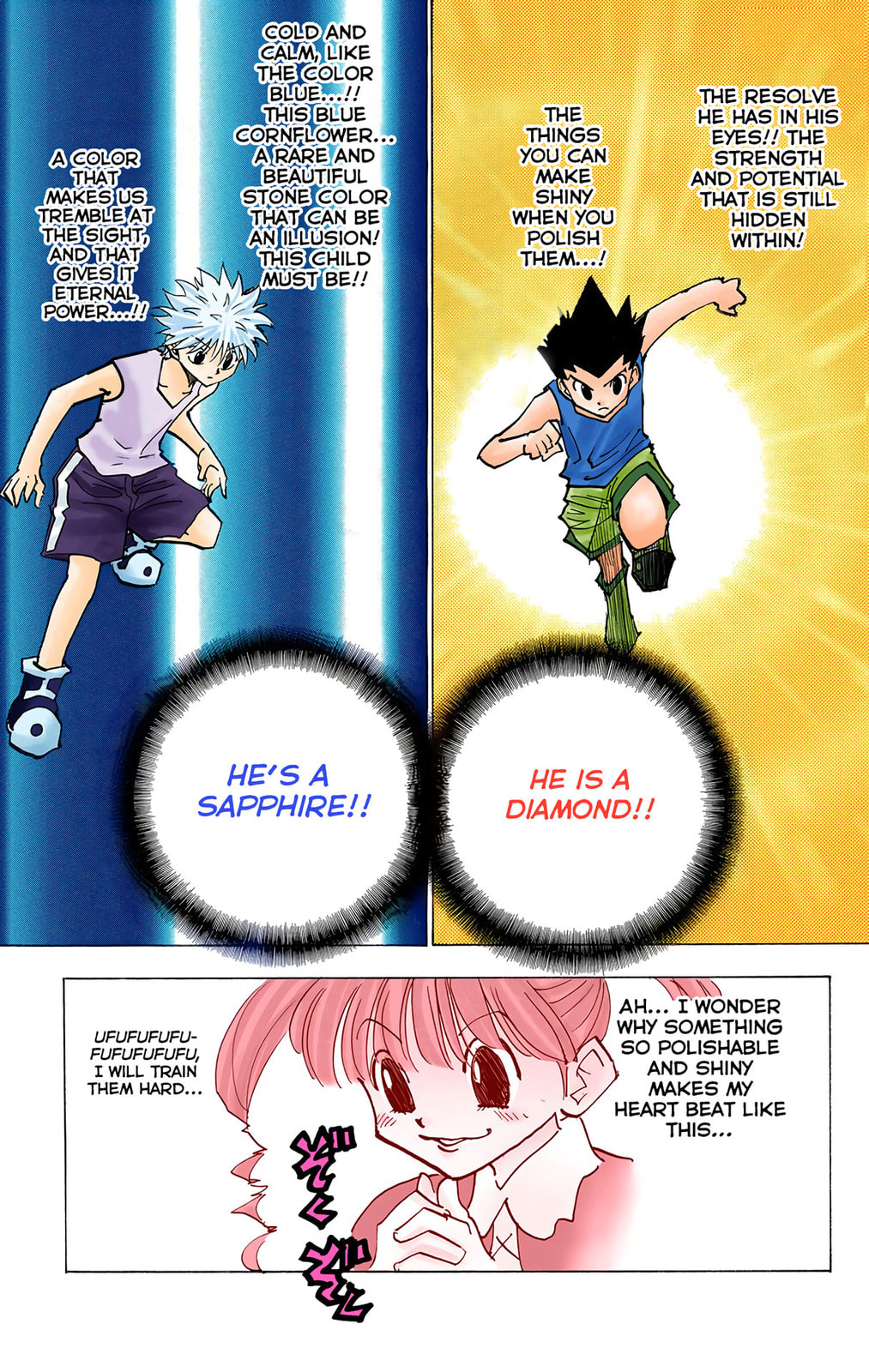 Hunter x Hunter Colored Manga