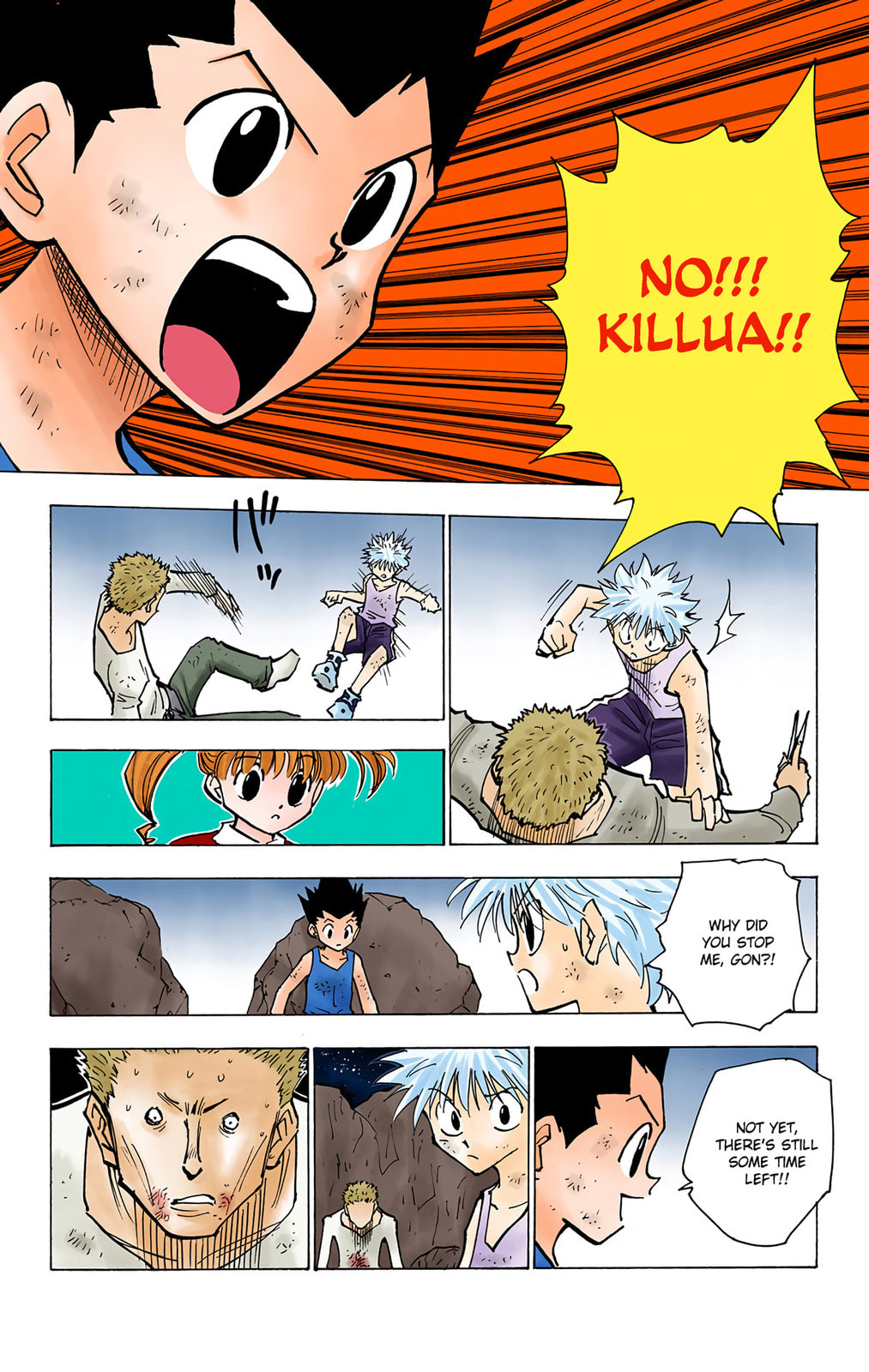 Hunter x Hunter Colored Manga