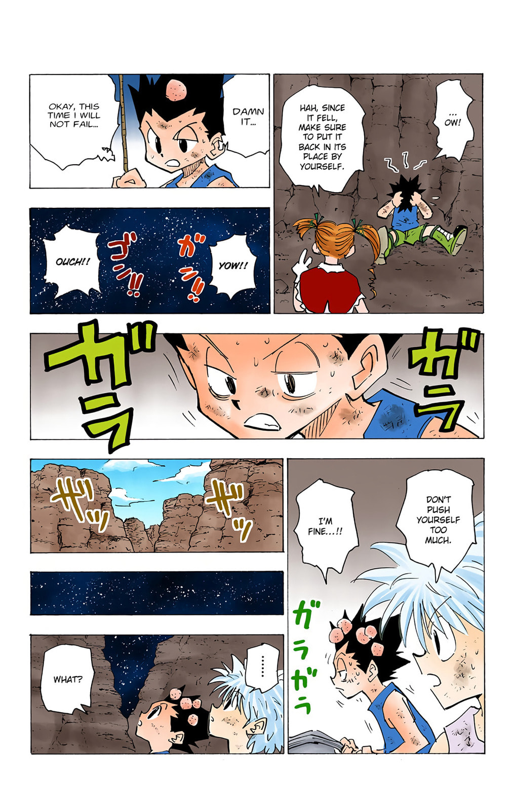 Hunter x Hunter Colored Manga