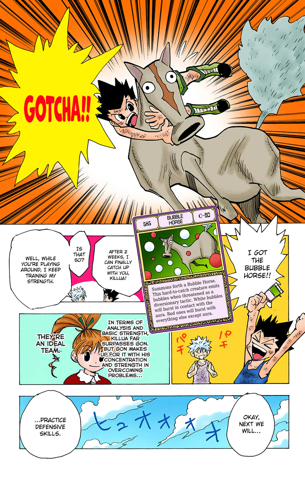 Hunter x Hunter Colored Manga