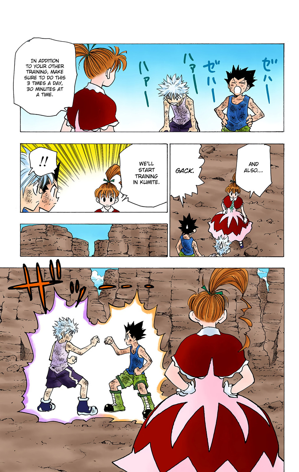 Hunter x Hunter Colored Manga