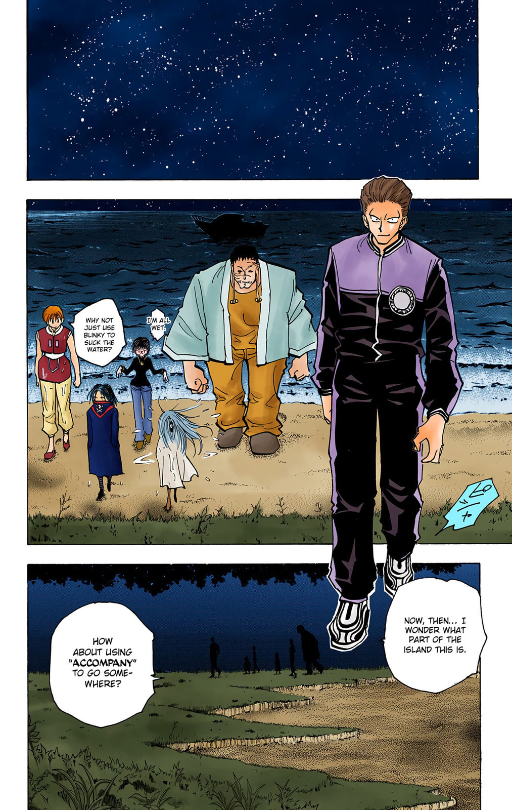Hunter x Hunter Colored Manga