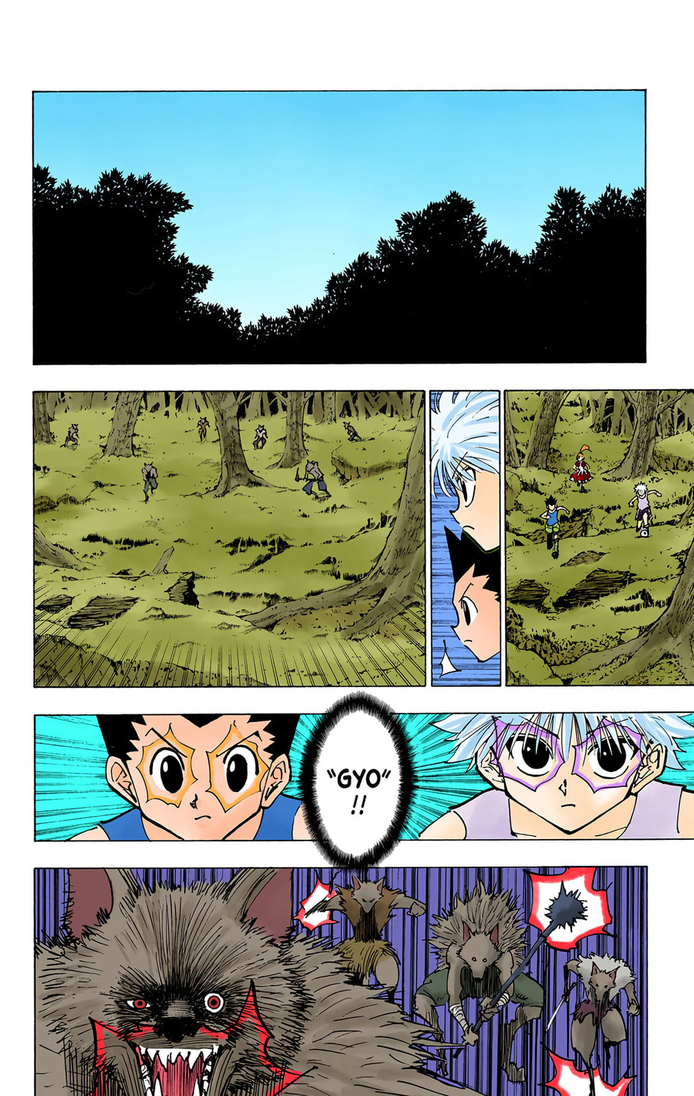 Hunter x Hunter Colored Manga