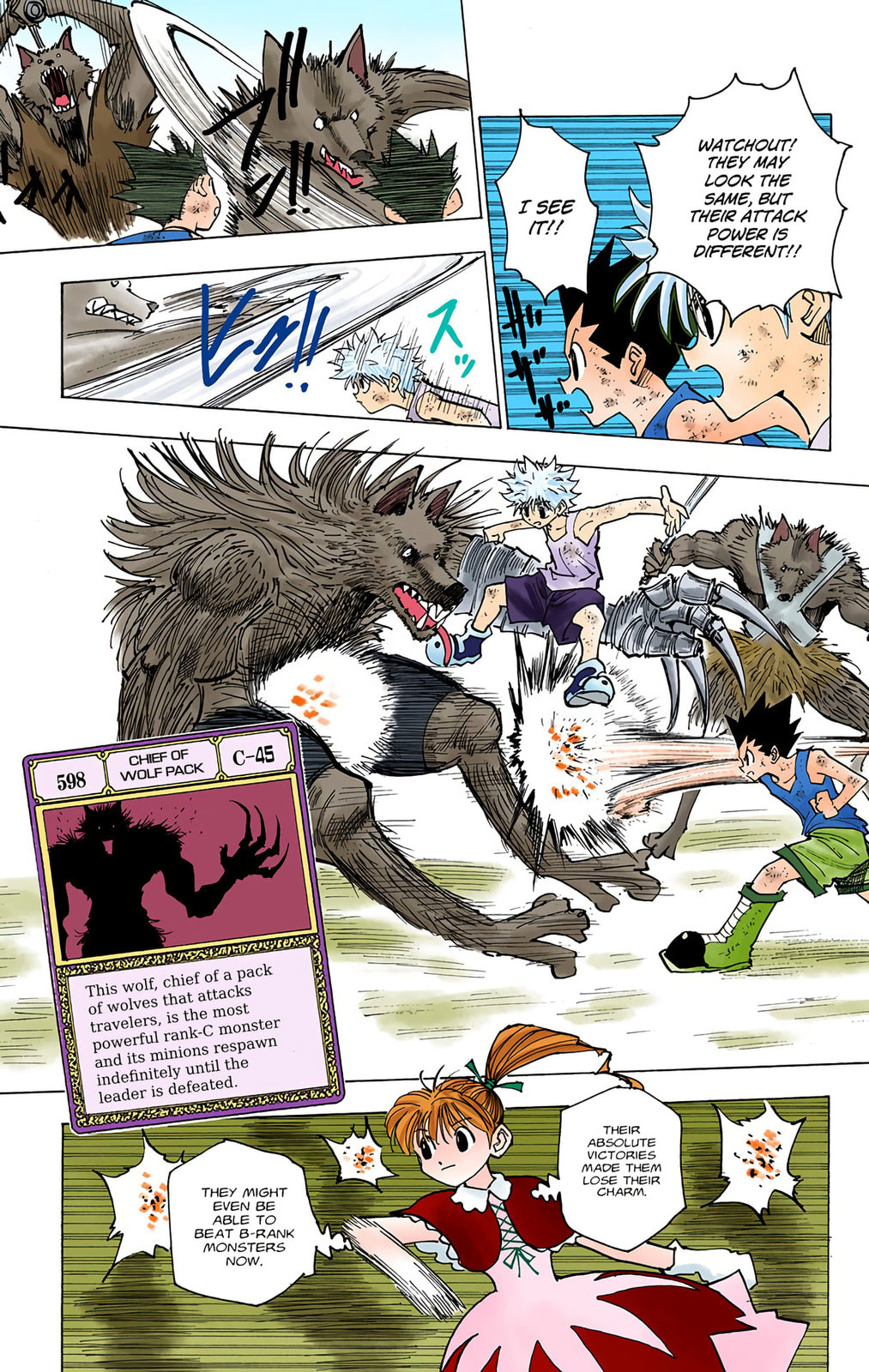 Hunter x Hunter Colored Manga
