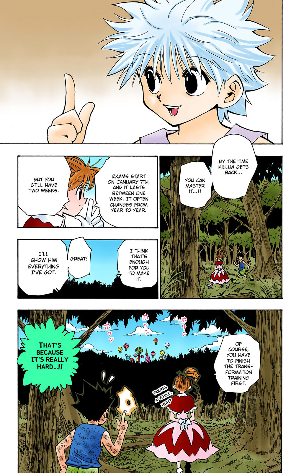 Hunter x Hunter Colored Manga