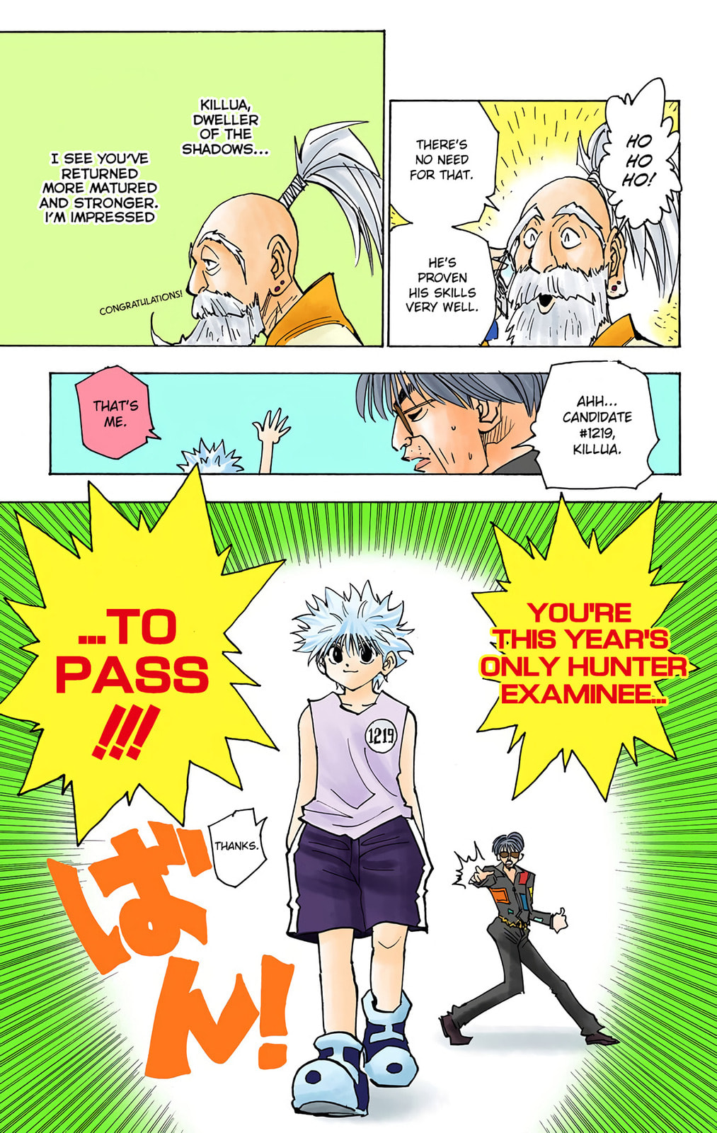 Hunter x Hunter Colored Manga