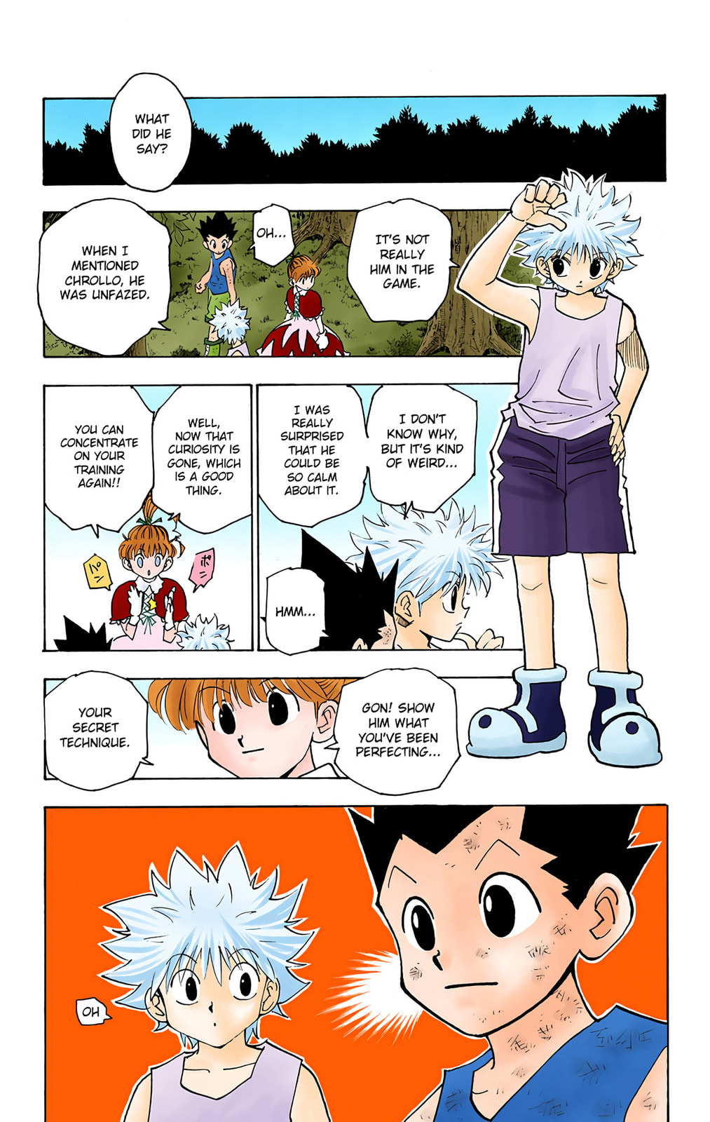 Hunter x Hunter Colored Manga