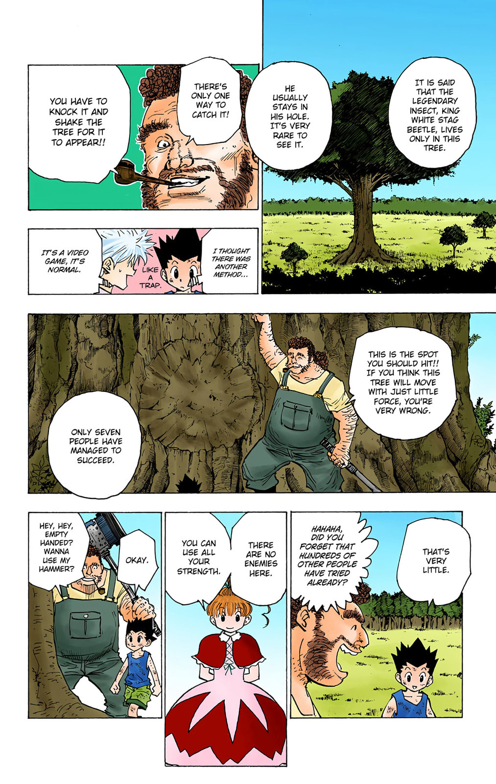 Hunter x Hunter Colored Manga