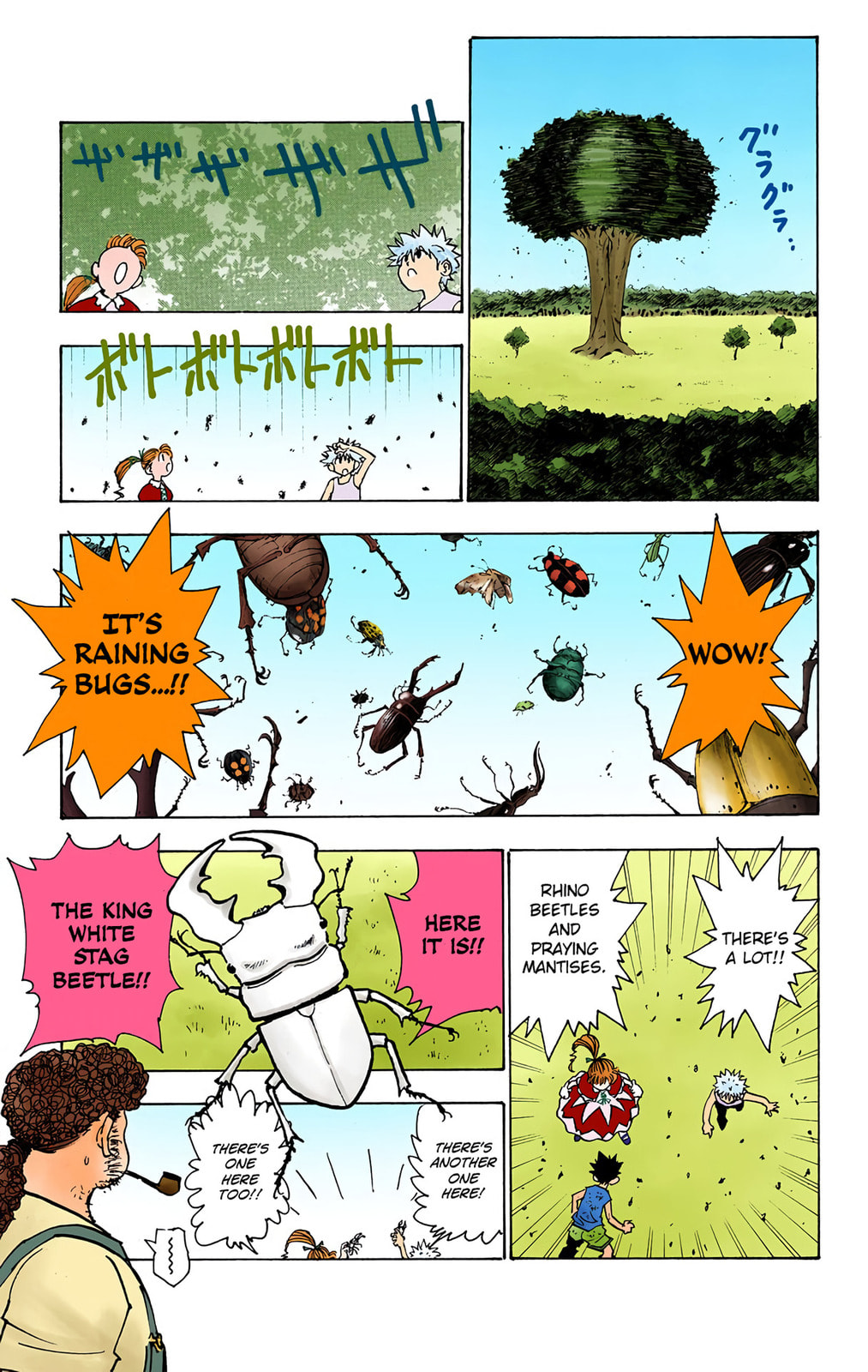 Hunter x Hunter Colored Manga