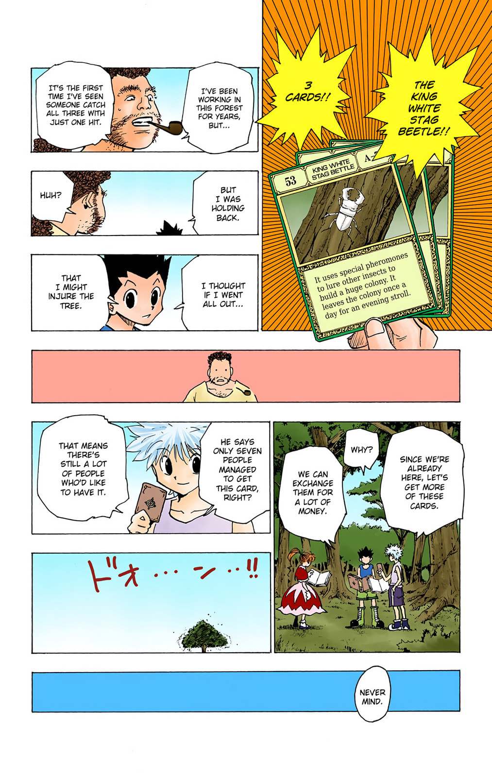 Hunter x Hunter Colored Manga