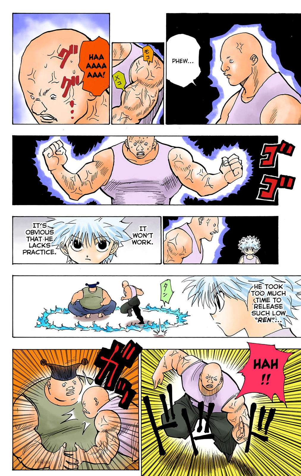 Hunter x Hunter Colored Manga