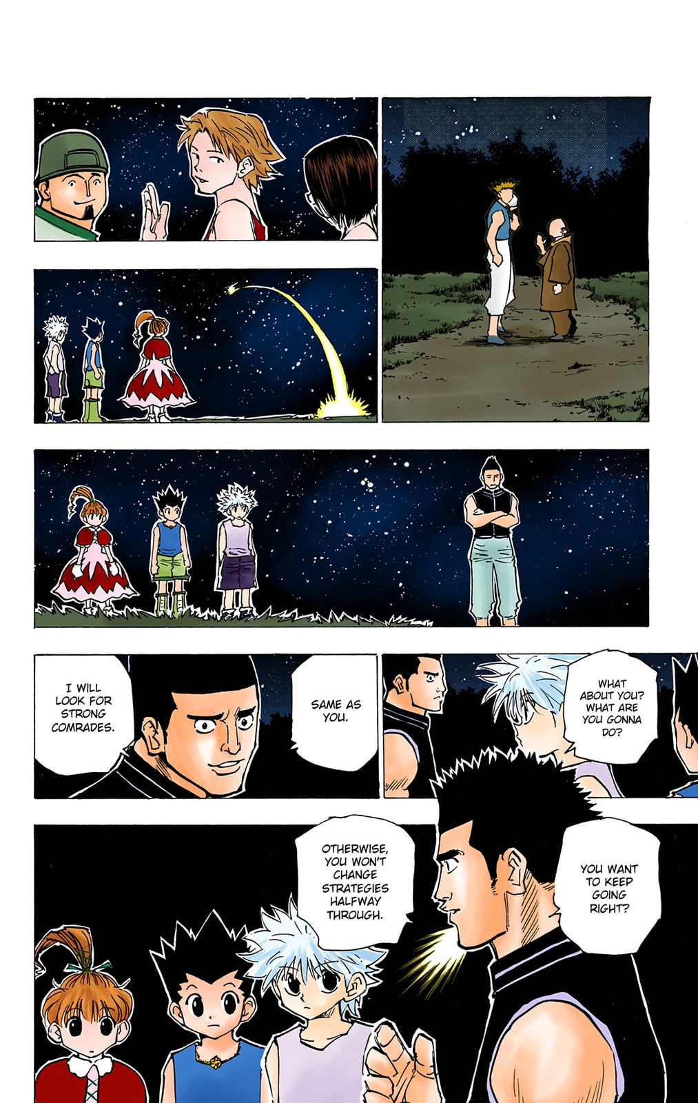 Hunter x Hunter Colored Manga