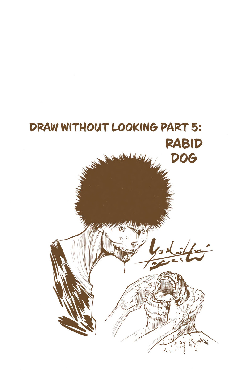 Hunter x Hunter Colored Manga