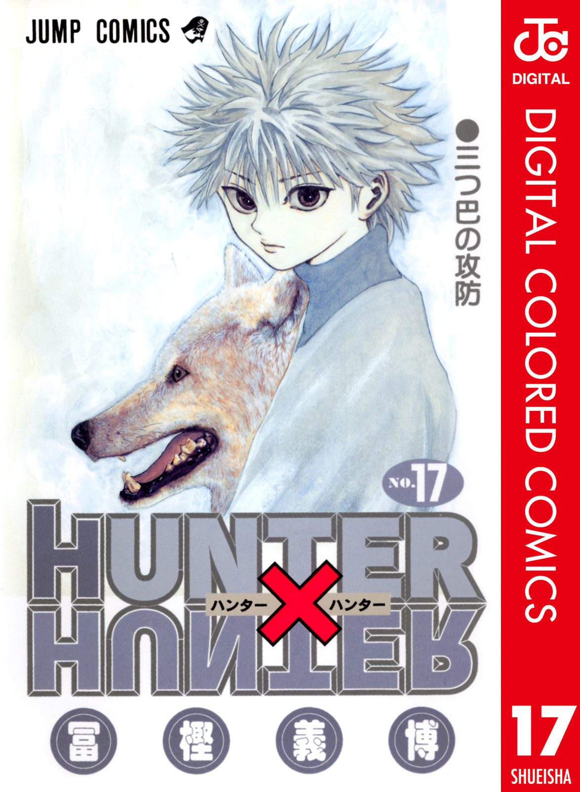 Hunter x Hunter Colored Manga