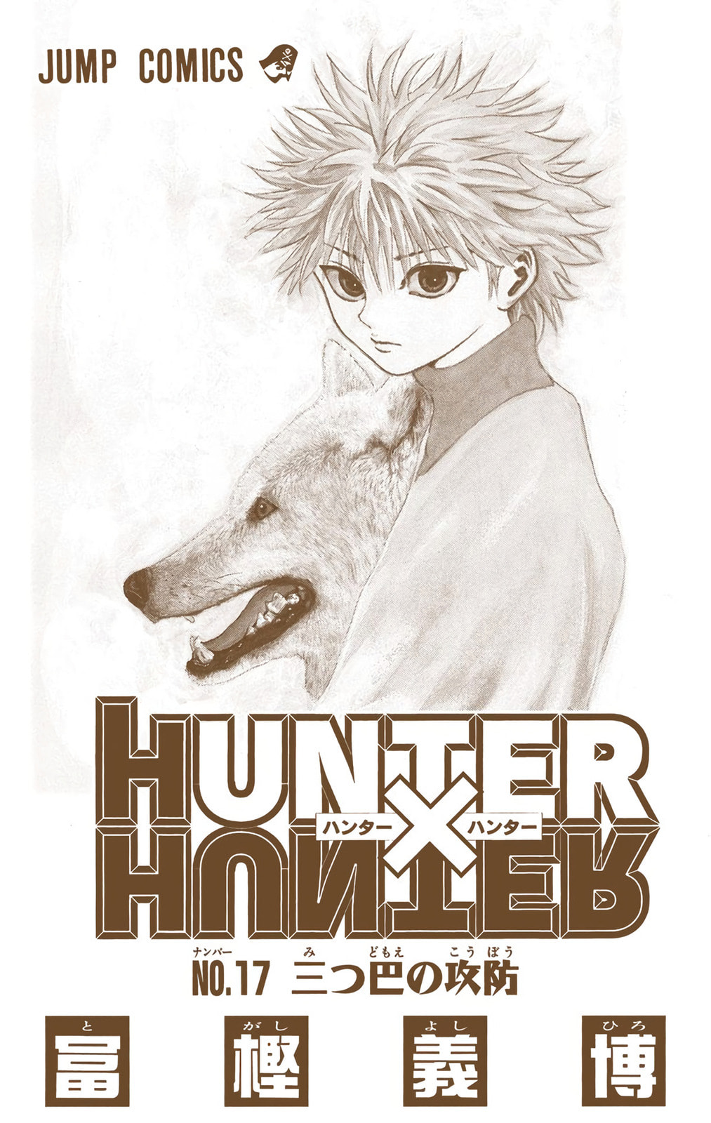 Hunter x Hunter Colored Manga