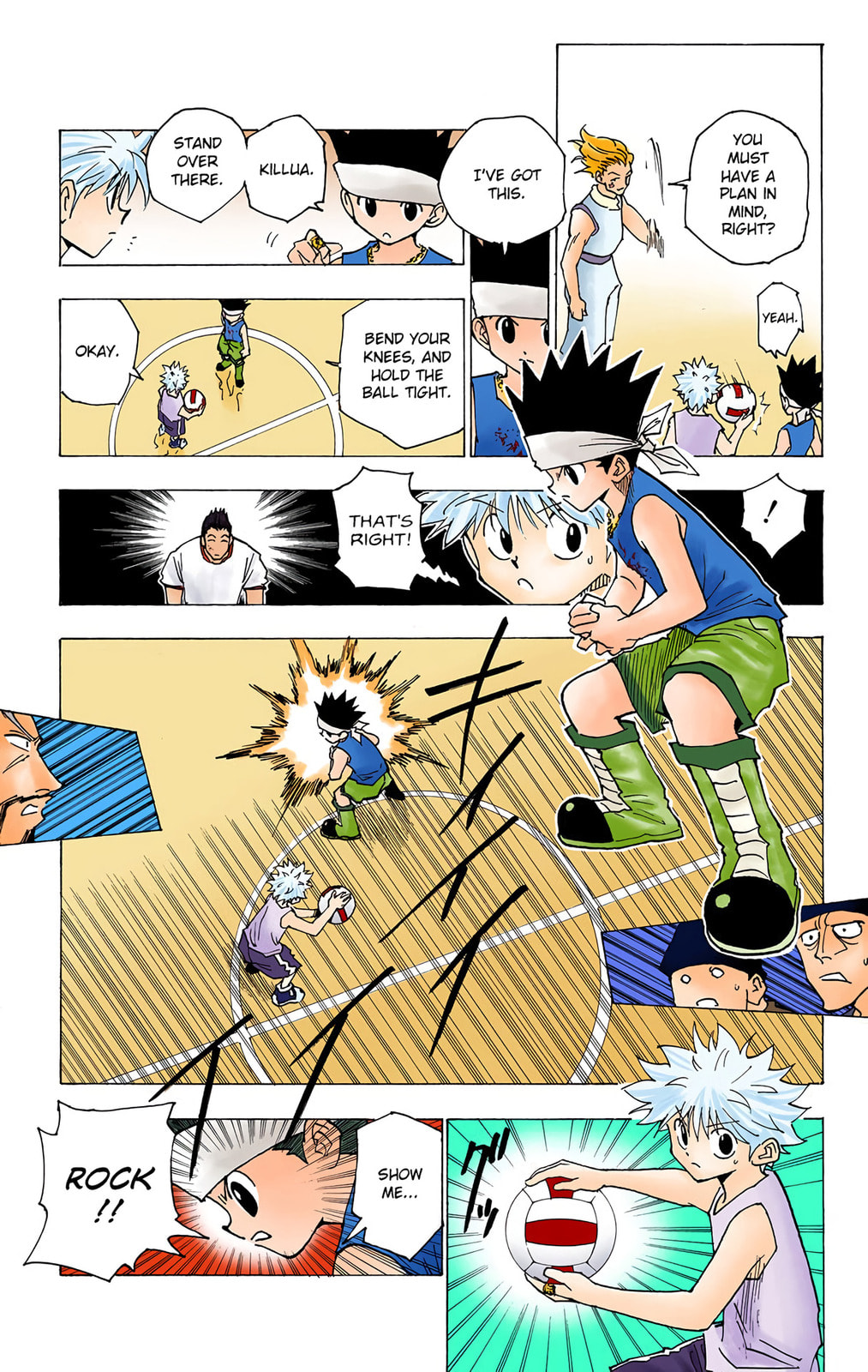 Hunter x Hunter Colored Manga