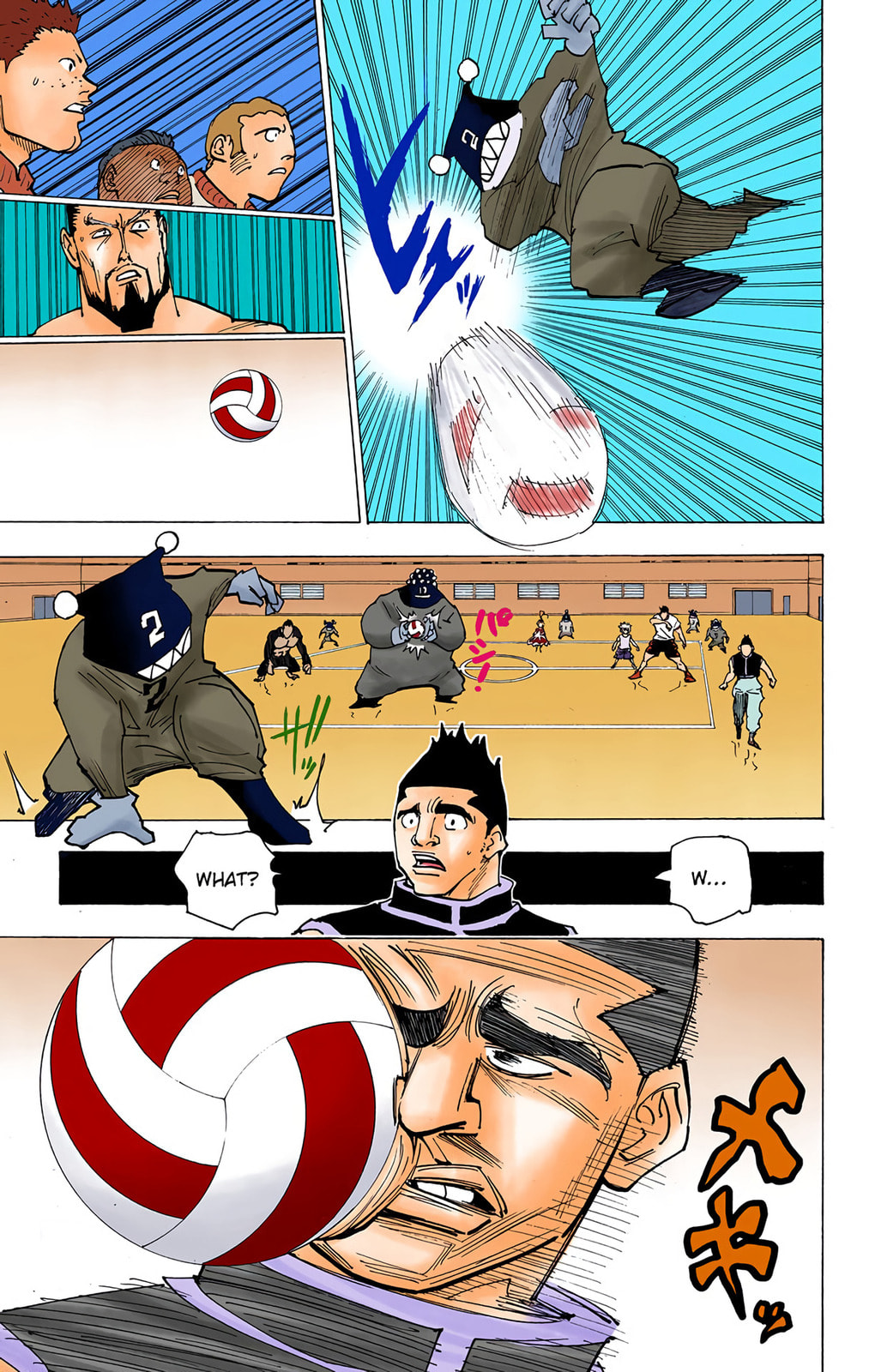 Hunter x Hunter Colored Manga