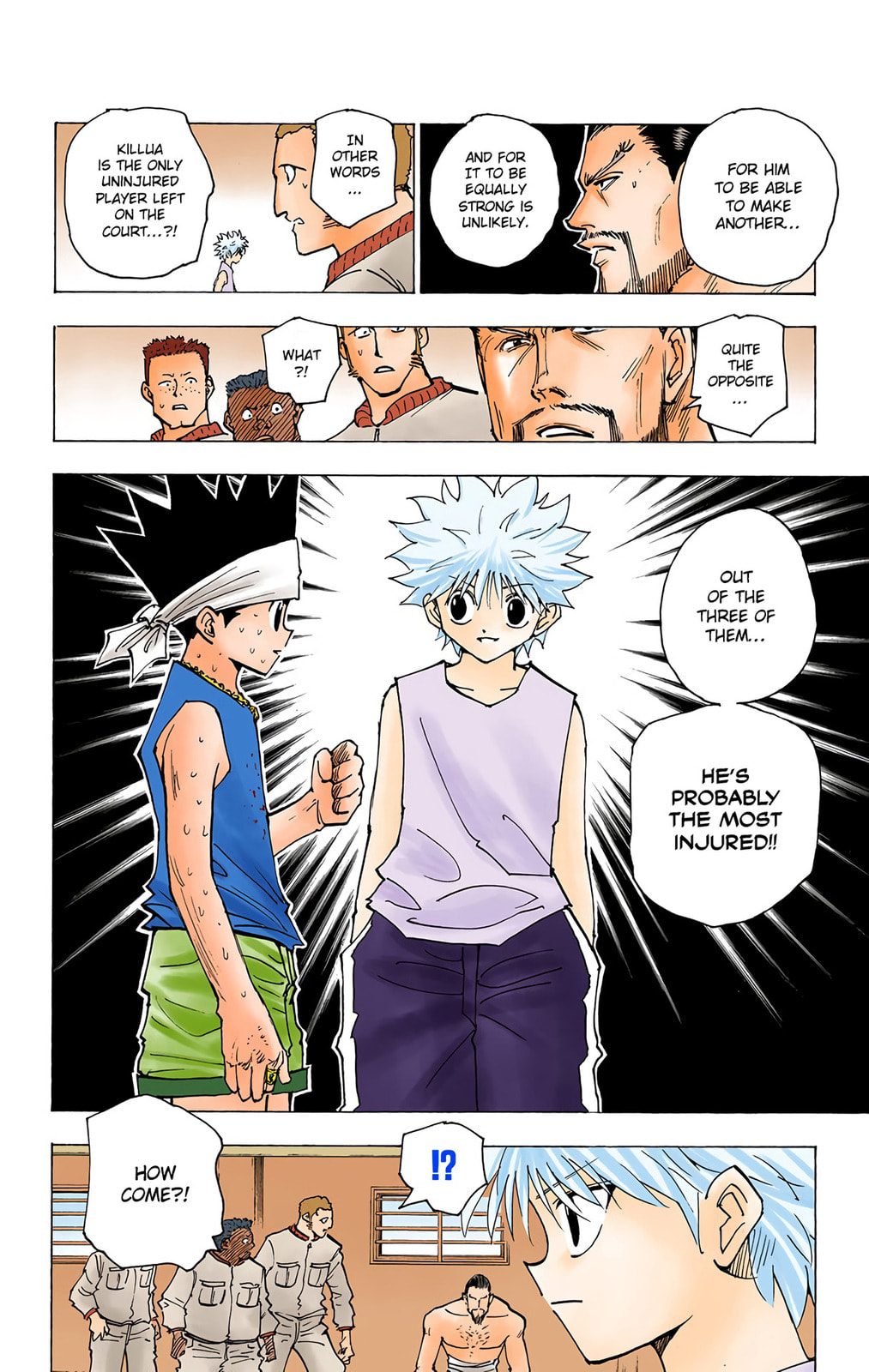 Hunter x Hunter Colored Manga