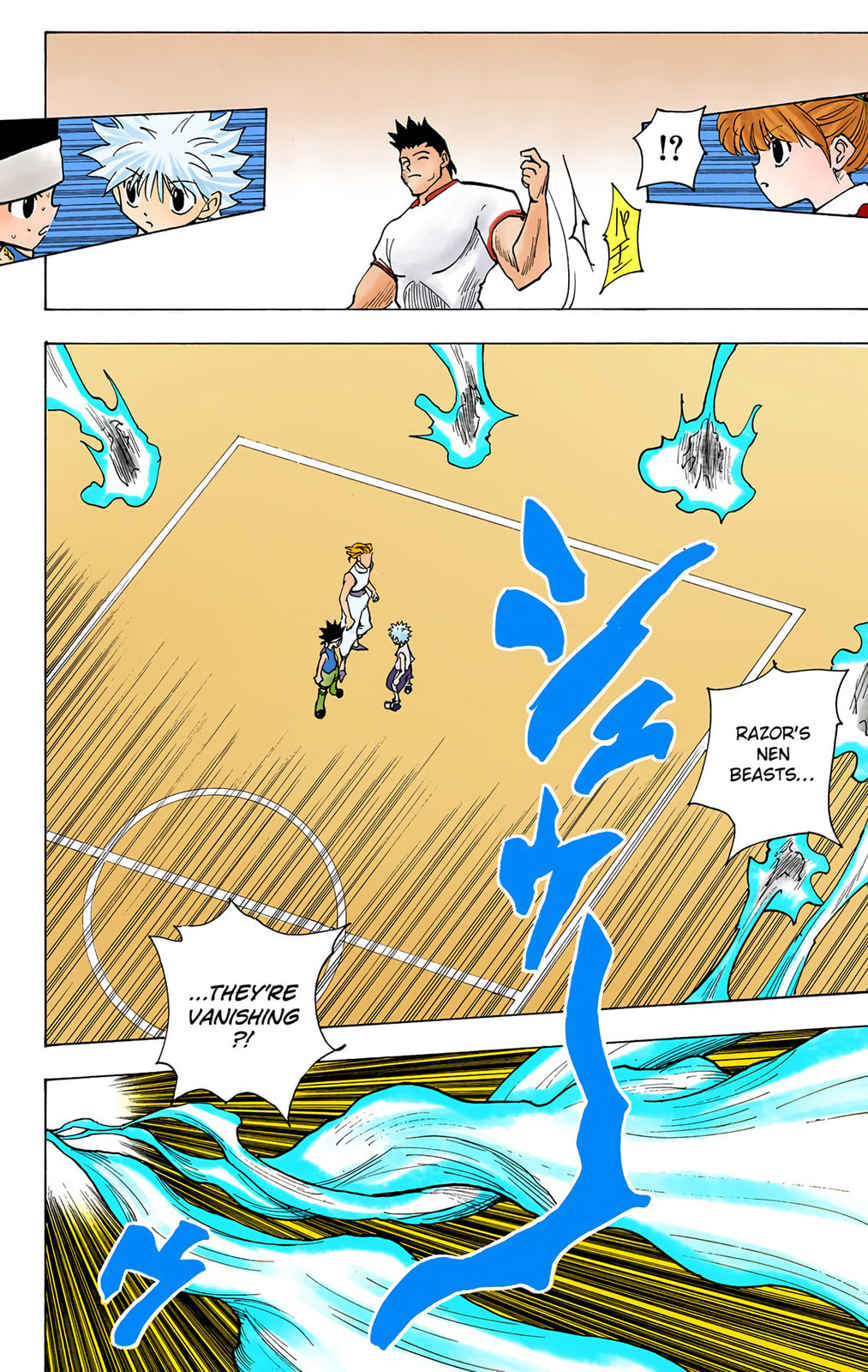 Hunter x Hunter Colored Manga