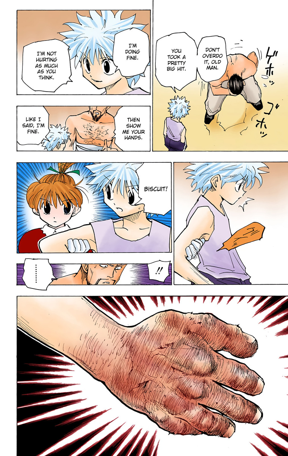 Hunter x Hunter Colored Manga