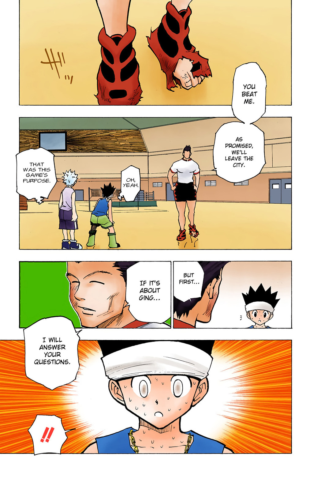 Hunter x Hunter Colored Manga
